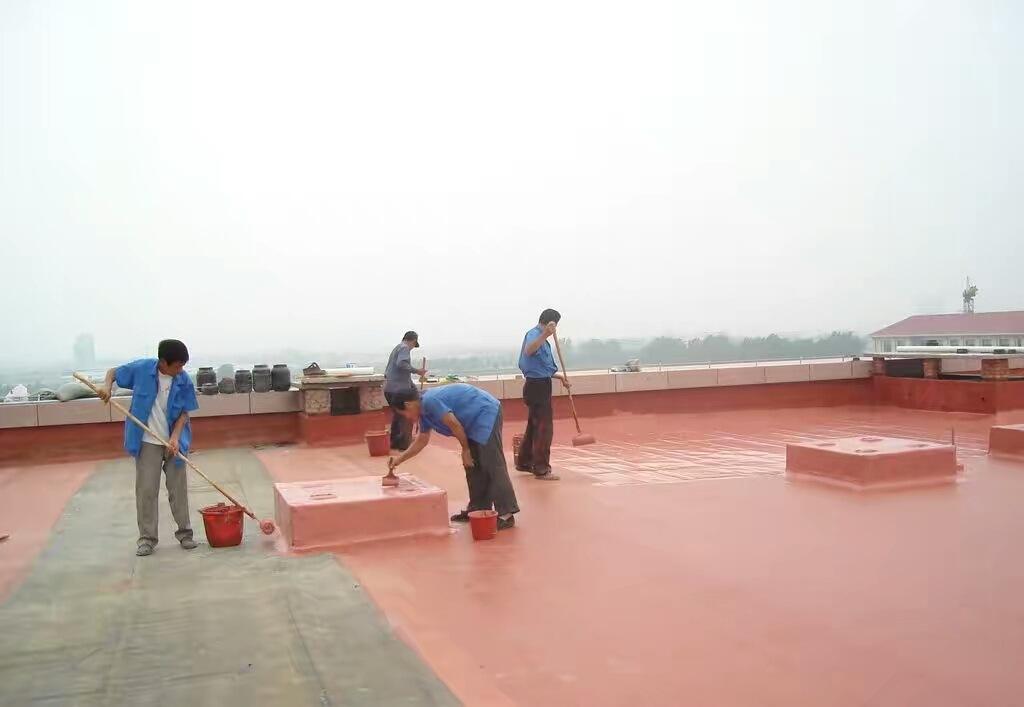 新型屋顶防水涂料施工示意图